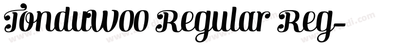 TonduW00 Regular Reg字体转换